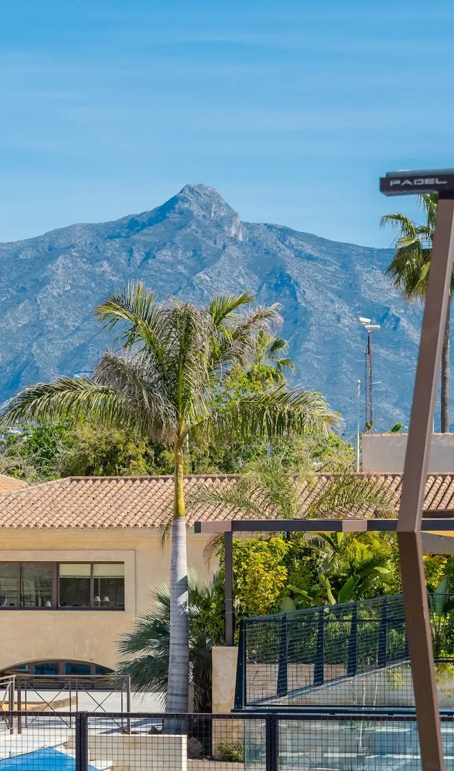 Palm trees and a mountain above Marbella